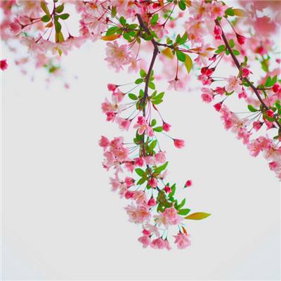 星尘无尽手游下载